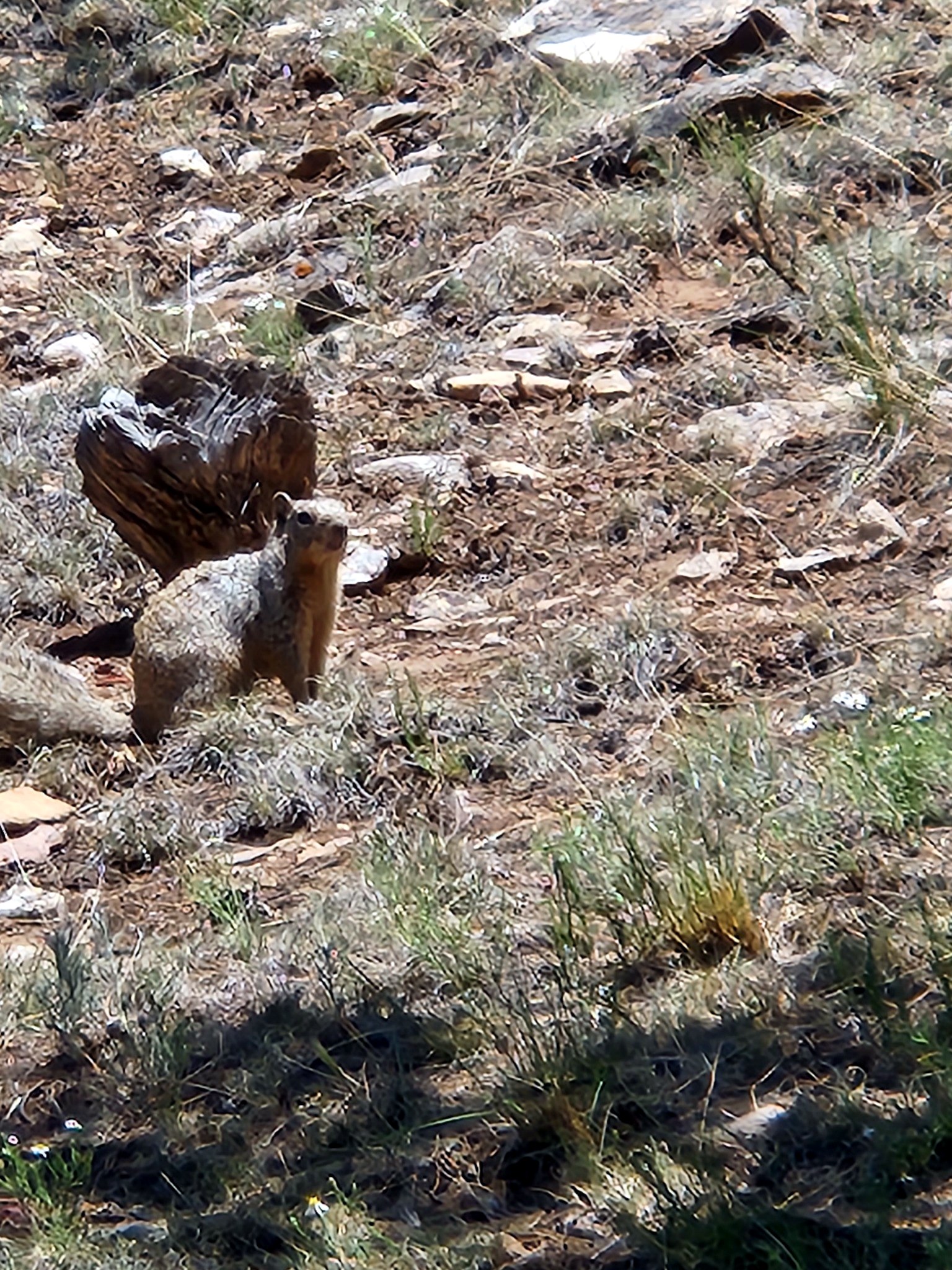 New Mexico Through My Lens photograph
