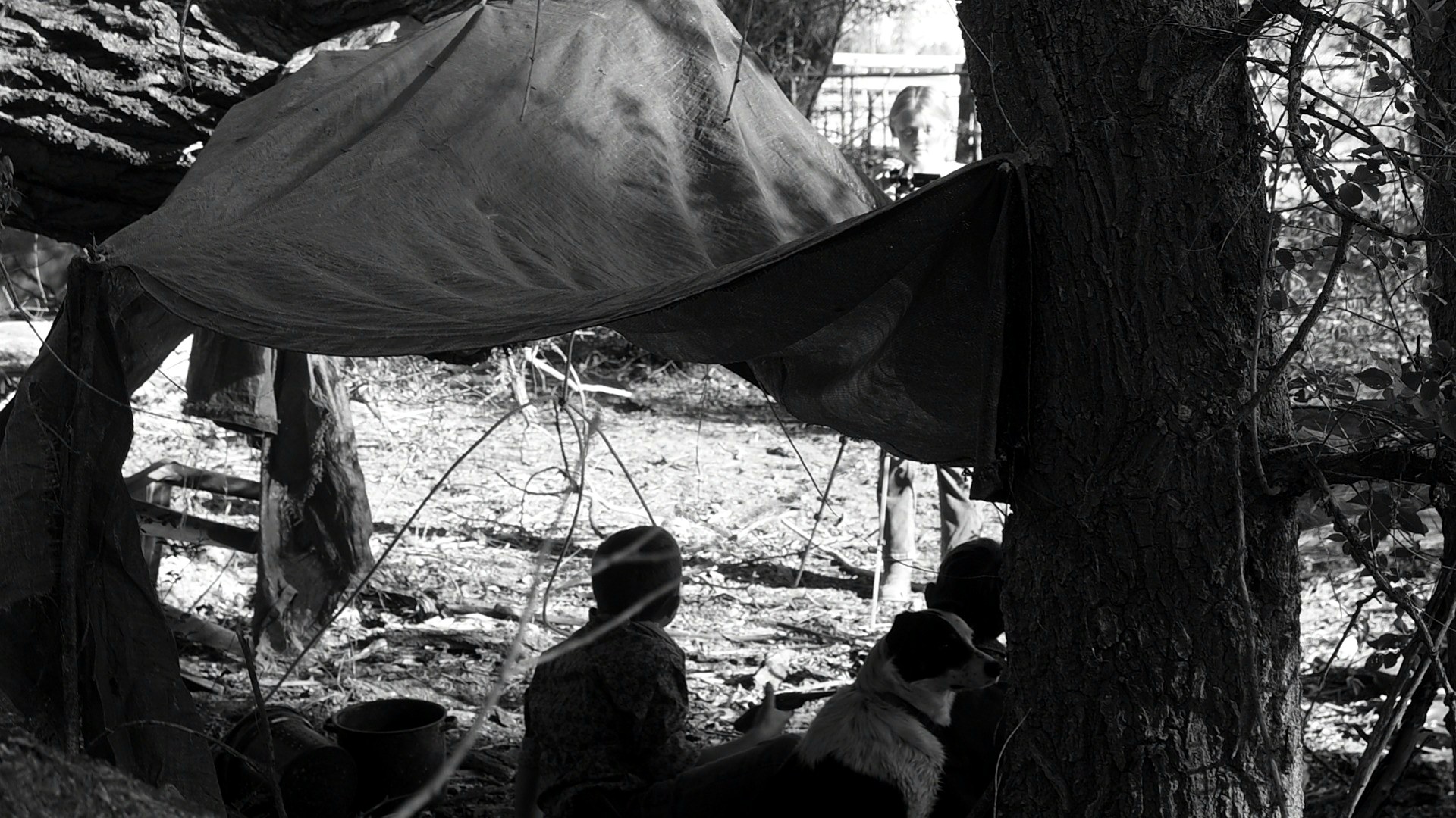Documentary photograph