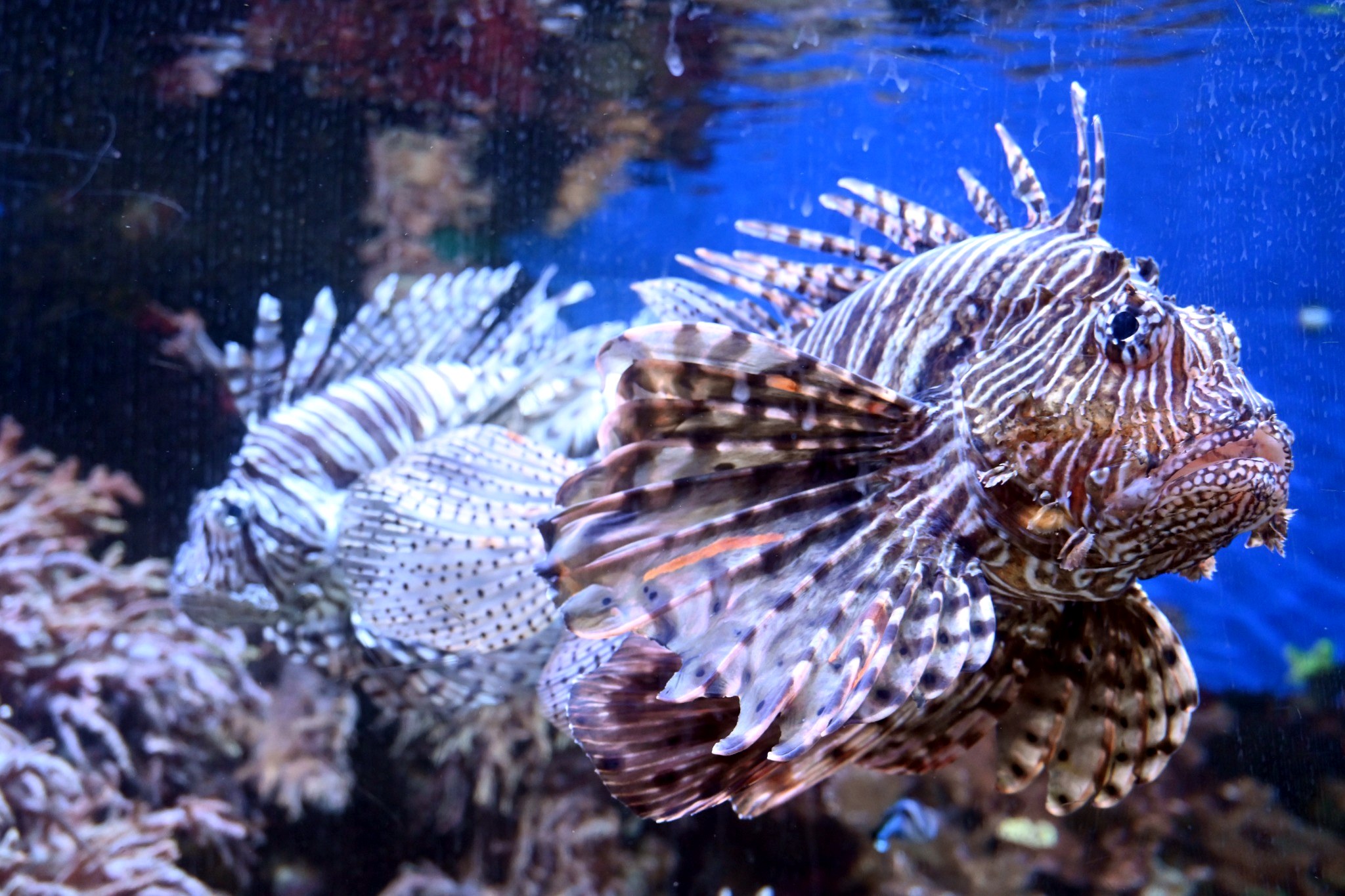 Wildlife & Aquatic photograph