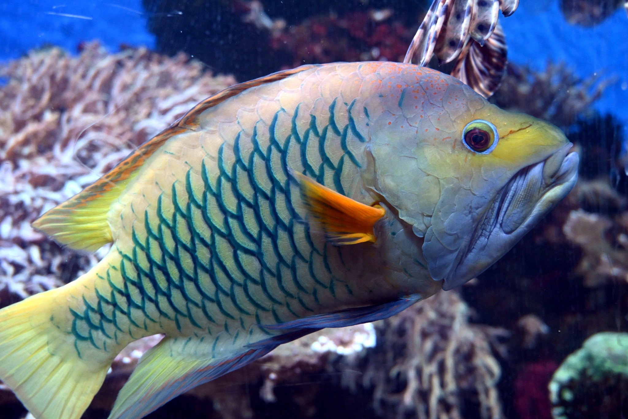 Wildlife & Aquatic photograph