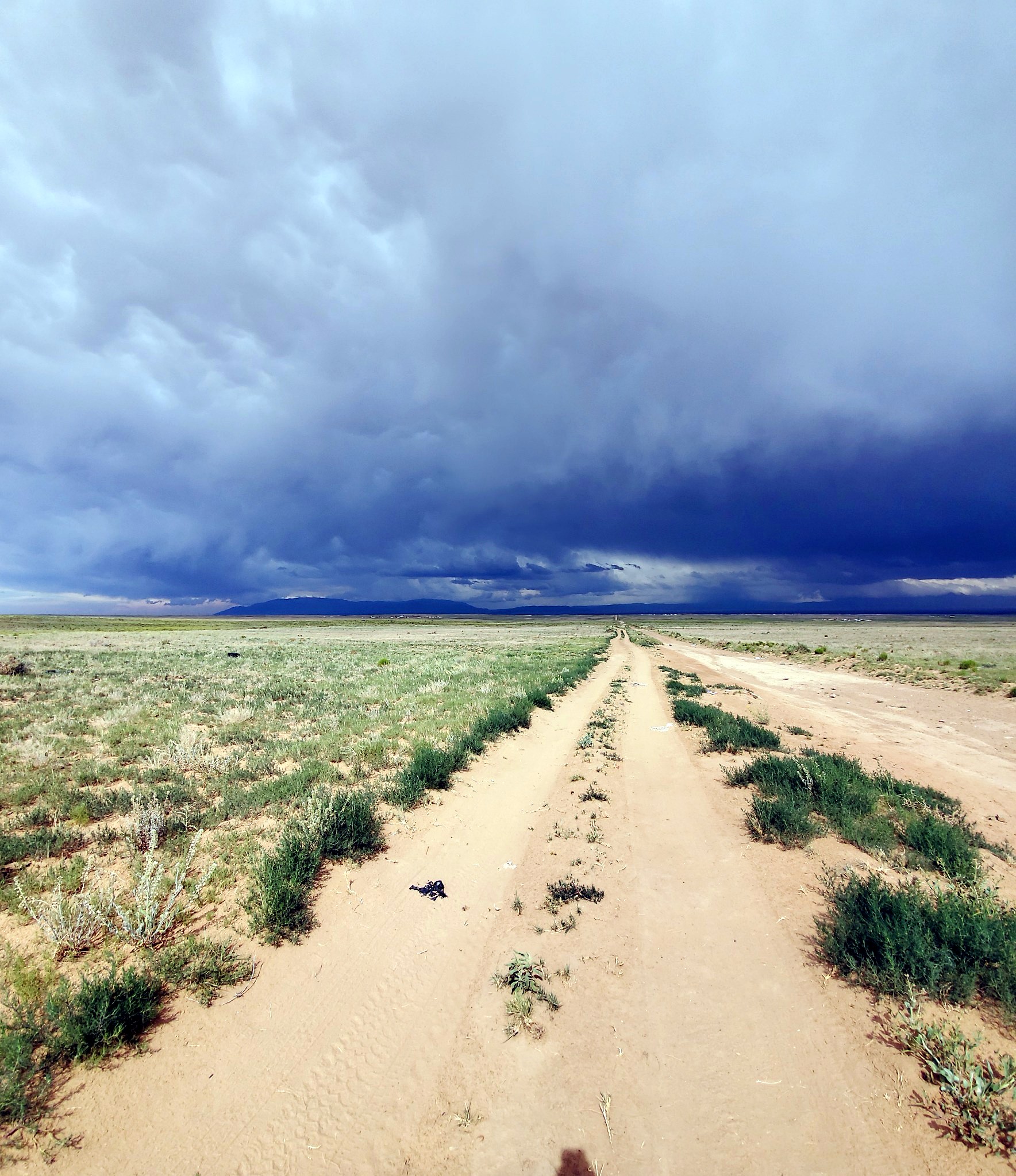 New Mexico photograph