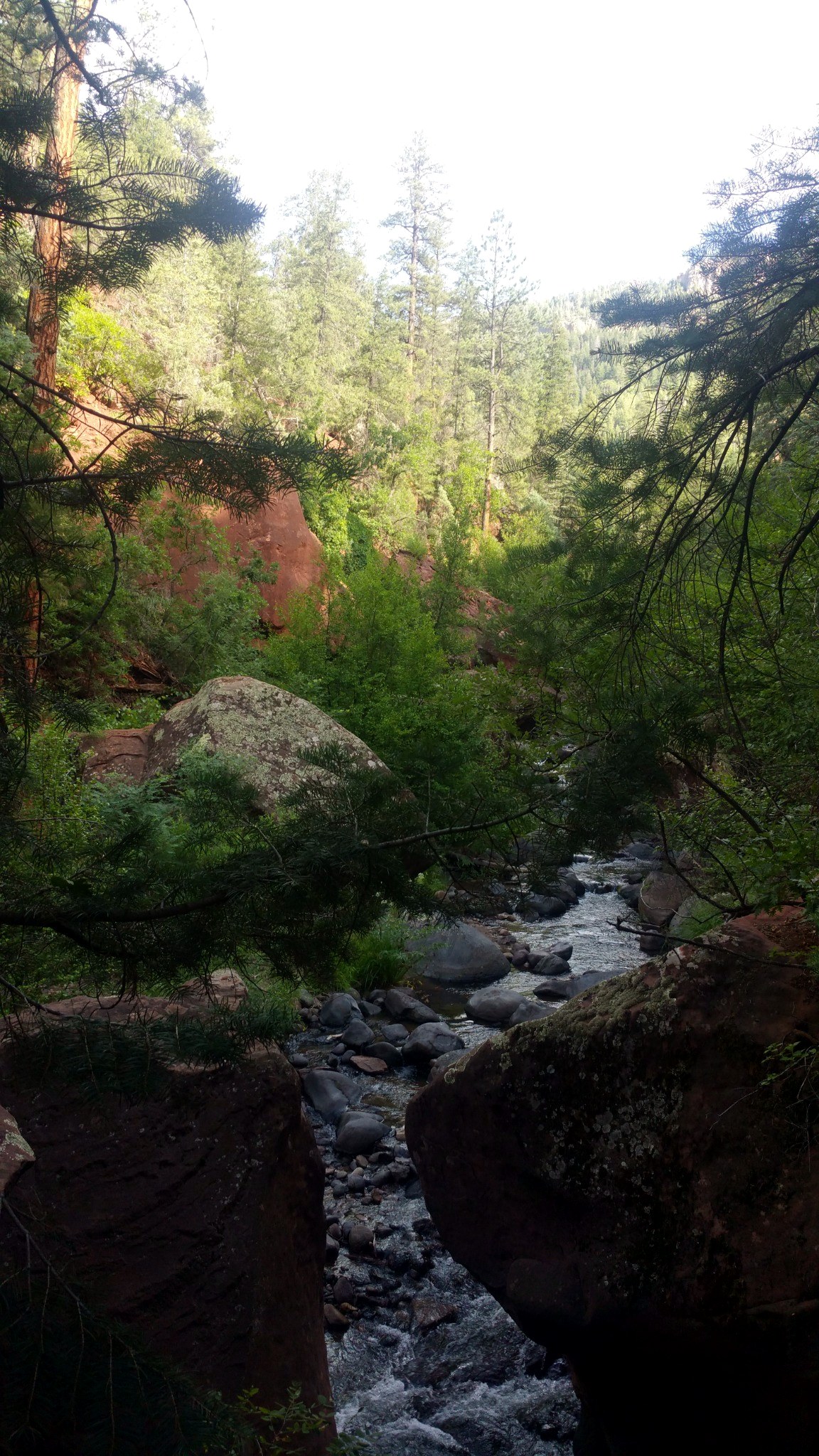 New Mexico Through My Lens photograph